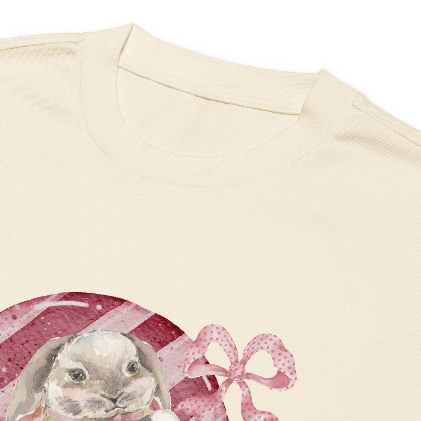 Premium heavyweight long sleeve shirt